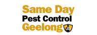 Same Day Pest Control Service Geelong