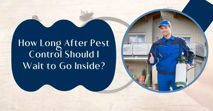 Pest Control Service